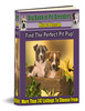 Thumbnail Big List of Pit Bull Breeders Thumbnail Big List of Pit Bull Breeders